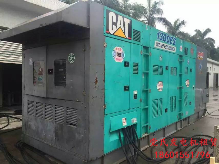 【出租發(fā)電機(jī)】市場(chǎng)化租賃發(fā)電機(jī)應(yīng)急正逐步被養(yǎng)殖戶接受